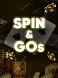 SPIN AND GO 1.jpg